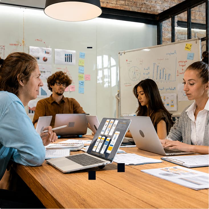 Web application development team collaboration